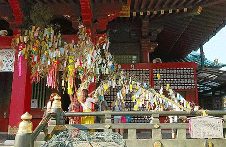 Write Your Wish on a Tanzaku Strip and Tie It to the Bamboo