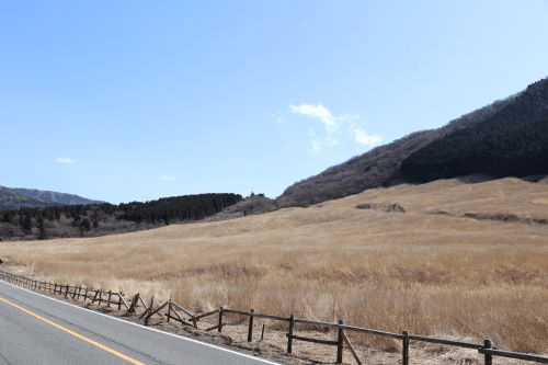 Sengokuhara Susuki Grassland Before Yamayaki
