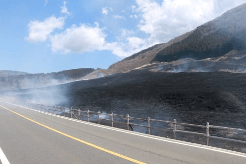 Sengokuhara Susuki Grassland After Yamayaki