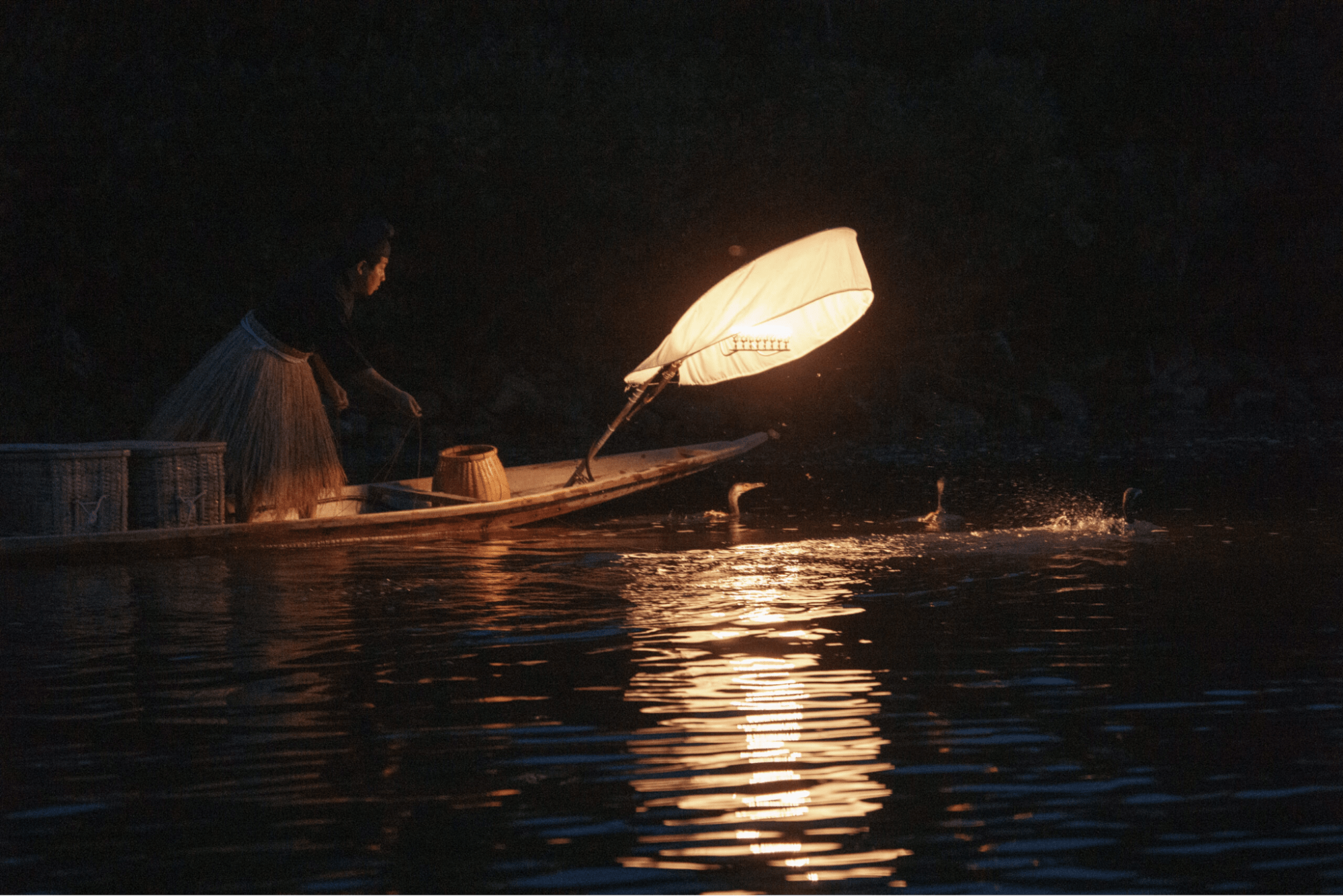 Miyoshi Cormorant Fishing