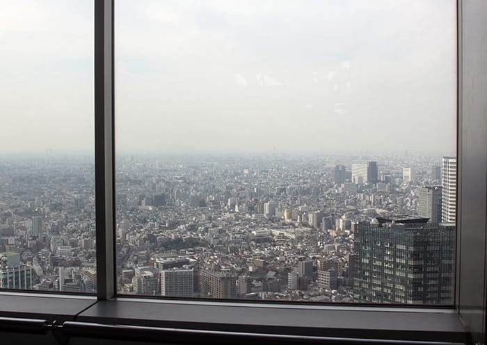 Tokyo Metropolitan Government Building Observation Deck