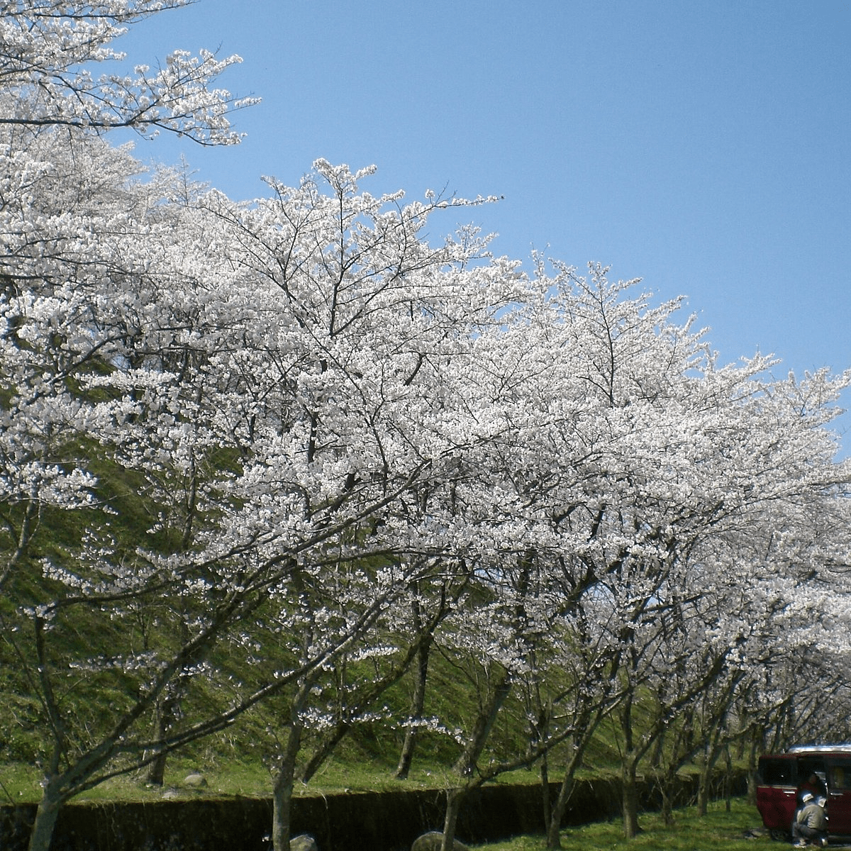 Daijoji Kyuryo Park