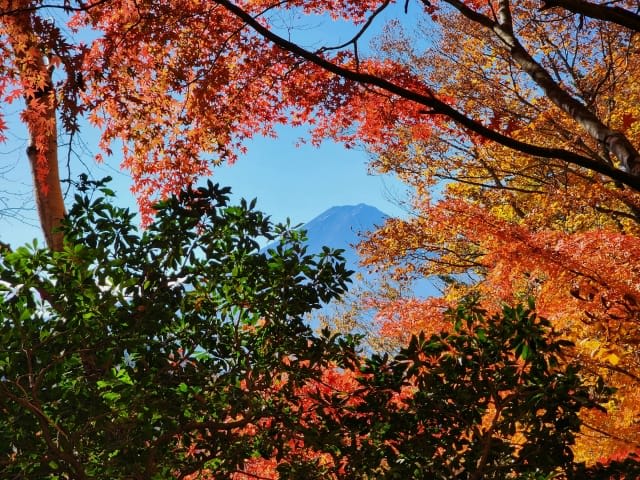 mountfujiautumn6.jpg