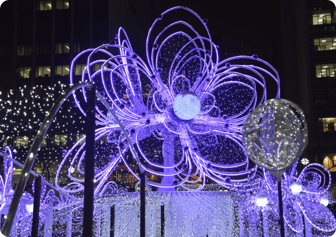 Sapporo White Illumination