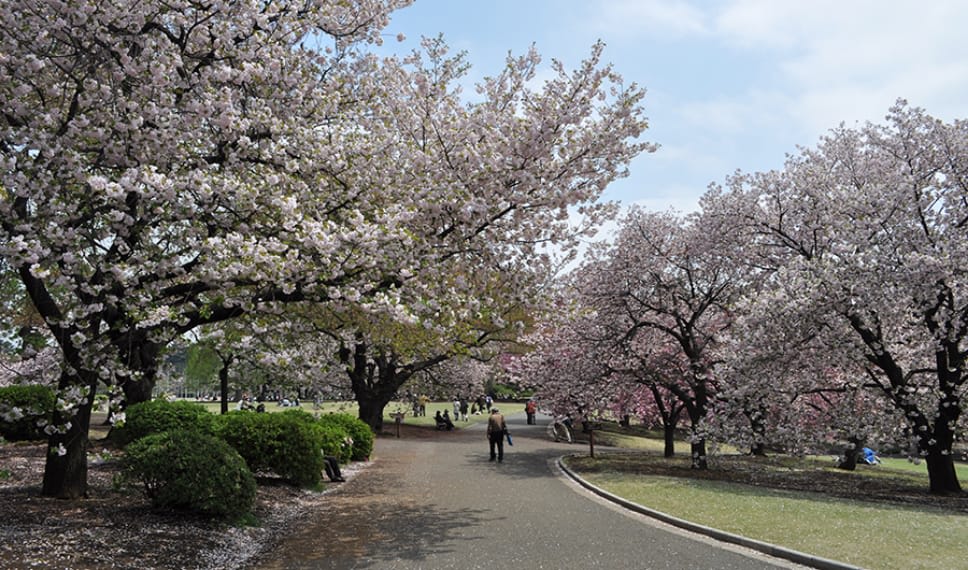 shinjuku_place_season_img01.jpg