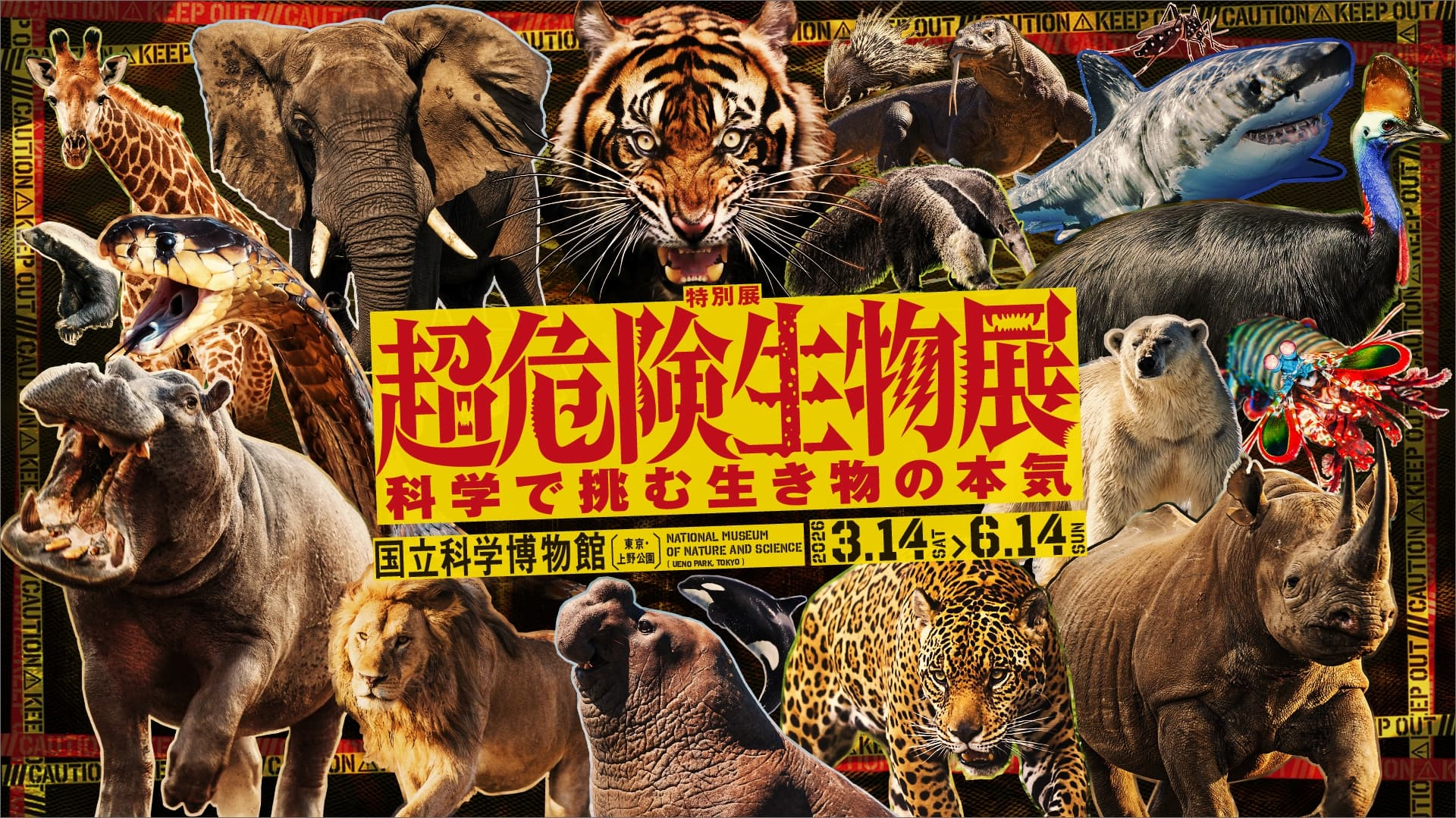 Super Dangerous Creatures: The Science Behind Ultimate Survival Skills