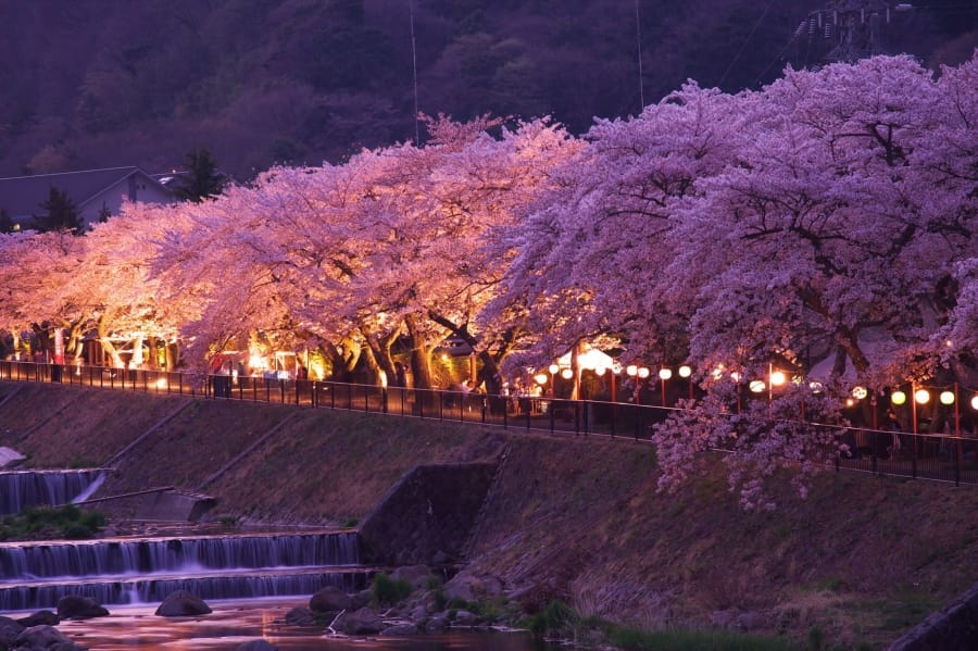 Miyagino Hayakawa Embankment