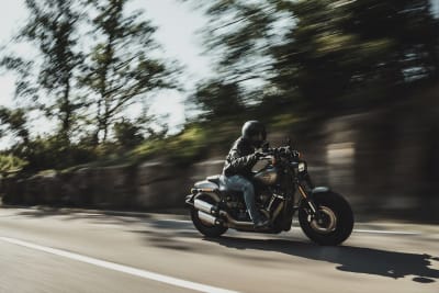 Triumph Speed Triple 1200 RS — Échappement Arrow