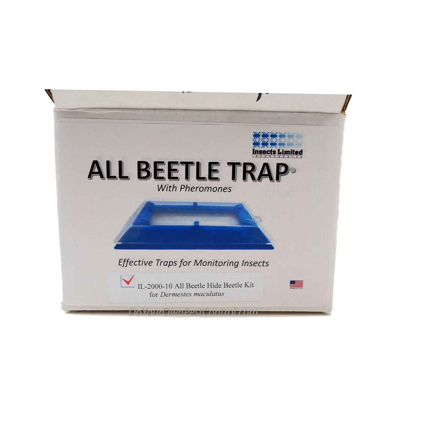 All Beetle Hide Beetle Kit