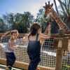YOUNI KID VEGETAL CAMEL