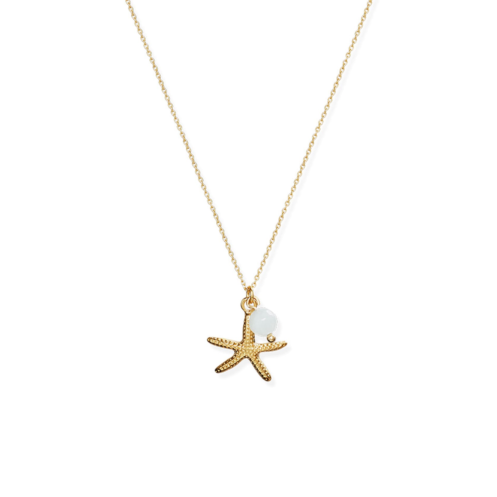 Starfish necklace