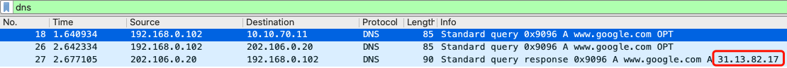 dns-wrong-response