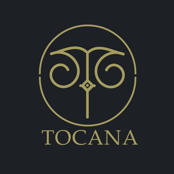 Ідея для логотипа Токана