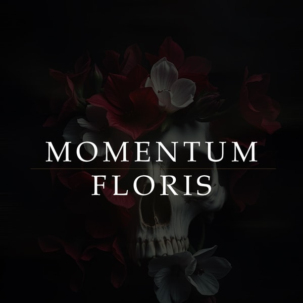 Momentum Floris III