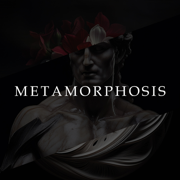 Metamorphosis