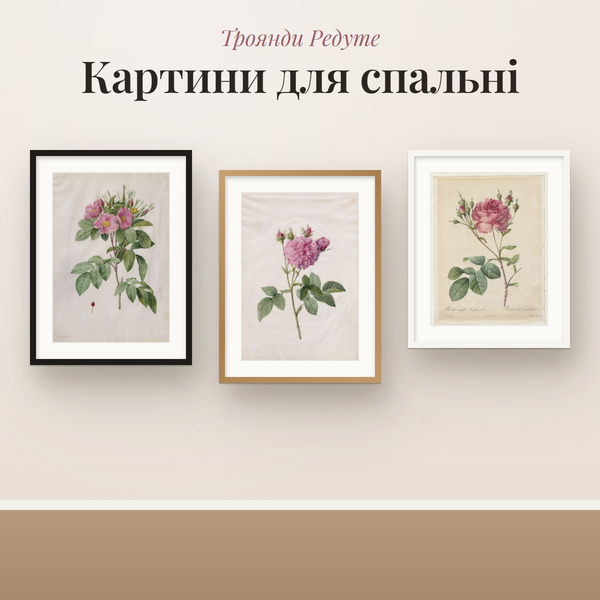 Картини для спальні: 12 троянд Редуте, ботанічні гравюри з музею для друку в рамку (A4–60×90)