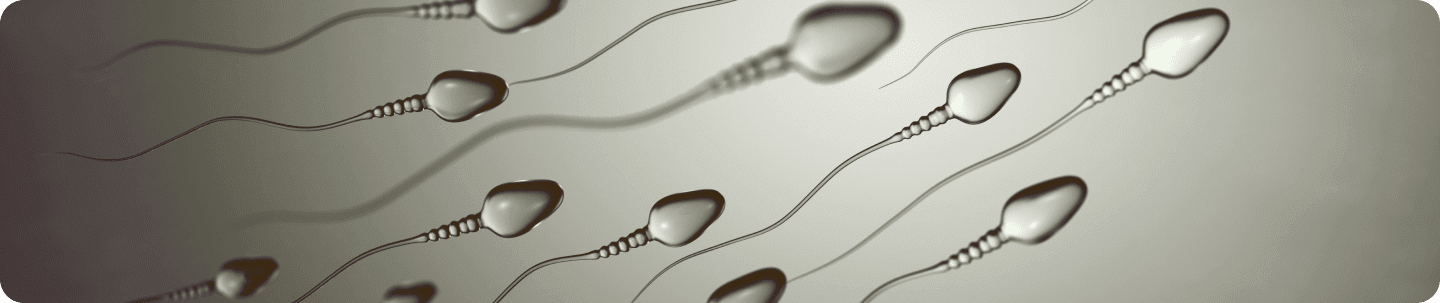 sperm analysis