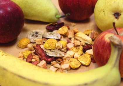 Verschiedene frische Früchte, darunter Äpfel, Birnen und Bananen, umgeben eine Mischung aus getrockneten Obststücken auf einem Holzbrett.