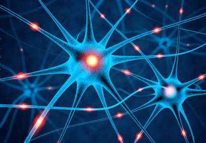 Illustration von Neuronen im Gehirn, dargestellt als blaue Zellen mit zahlreichen Verzweigungen und leuchtend roten Signalpunkten. Die vernetzten Neuronen auf dunkelblauem Hintergrund symbolisieren synaptische Verbindungen und Informationsaustausch.