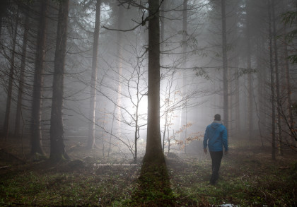Eine Person in blauer Jacke geht durch einen nebligen Wald auf einen hell erleuchteten Bereich zu. Die Bäume sind hoch und karg, der Boden ist mit Gras und Moos bedeckt. Die Szene wirkt mystisch und geheimnisvoll.