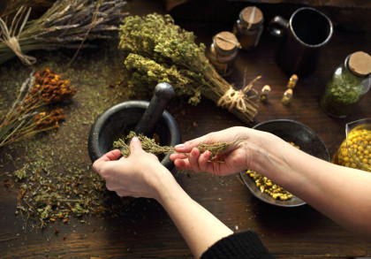 Hände, die Kräuter in einer traditionellen Steinmörser und Stößel zerkleinern. Auf dem Tisch liegen verschiedene getrocknete Kräuterbündel, Gewürzgläser, eine Schale mit getrockneten Blüten und ein Messbecher mit getrockneten gelben Kräutern.