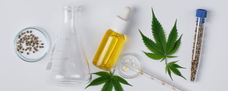 Medizinisches Cannabis wird bereits seit längerer Zeit von Unternehmen angebaut. Durch das neue Gesetz ändert sich in diesem Bereich faktisch nicht viel.