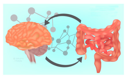 Illustration eines orangefarbenen Gehirns auf der linken Seite und eines verdrehten Darms auf der rechten Seite, verbunden durch Pfeile, die den wechselseitigen Einfluss darstellen. Im Hintergrund sind schematische Verbindungen von Molekülen zu sehen.