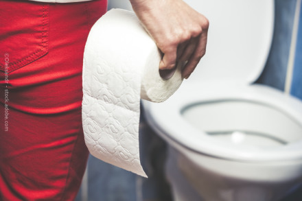 Eine Person hält eine Rolle Toilettenpapier vor einer Toilette. Die Person trägt eine rote Hose.
