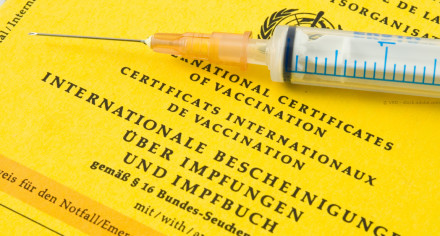 Ein gelbes internationales Zertifikat über Impfungen und Impfbuch liegt auf einer Oberfläche. Darauf liegt eine Einwegspritze. Der Titel des Dokuments ist in mehreren Sprachen, darunter Deutsch, Englisch und Französisch, geschrieben.