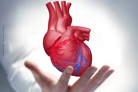 Eine Hand, die ein digitales Bild eines menschlichen Herzens hält, das in Rot dargestellt und mit Blutgefäßen gezeichnet ist. Der Hintergrund ist verschwommen und grau-weiß, wodurch das Herz im Vordergrund hervorgehoben wird.