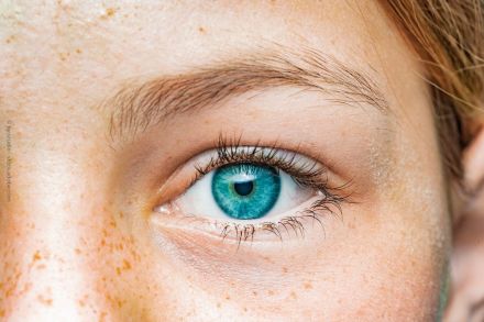 Nahaufnahme eines blauen Auges von einer Person mit Sommersprossen und hellem Teint. Das Auge ist von dichten Wimpern umgeben und unter einer hellen, natürlichen Augenbraue platziert.