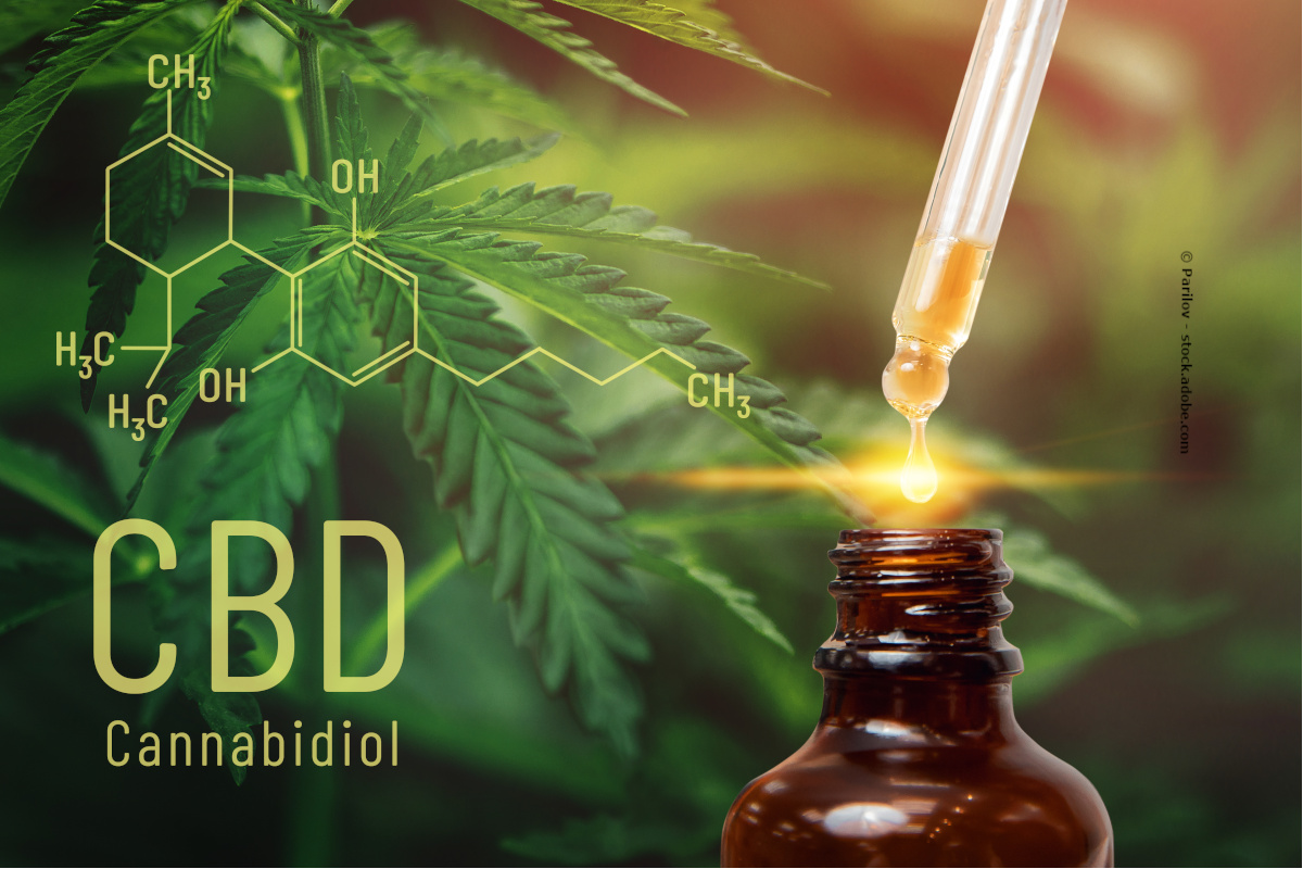CBD in der Medizin Aktuelle Studien im Überblick