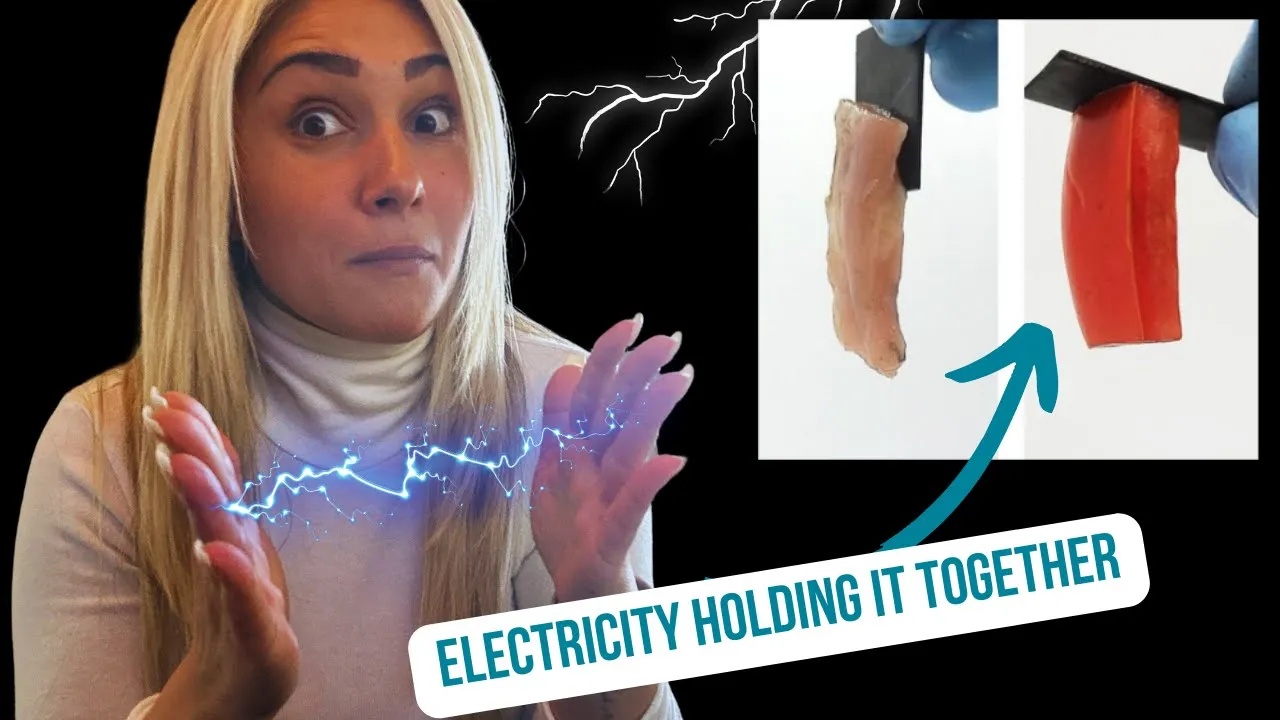 Sticking Materials Together Using JUST Electricity