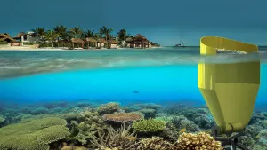 Accelerating coral reef growth using high performance power modules
