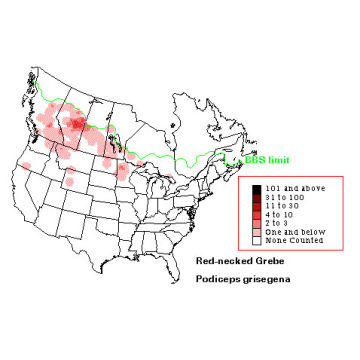 Red-necked Grebe distribution map