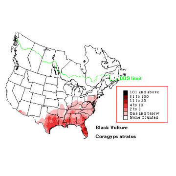 American Black Vulture distribution map