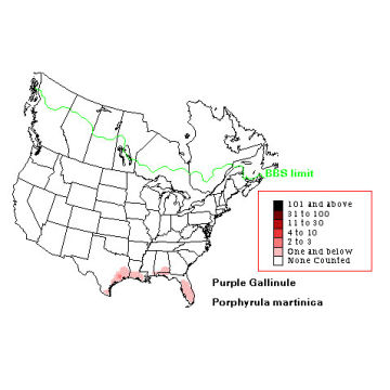 American Purple Gallinule distribution map