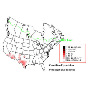 Vermilion Flycatcher distribution map