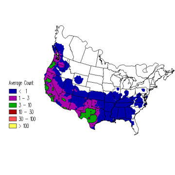 Bewick's Wren winter distribution map