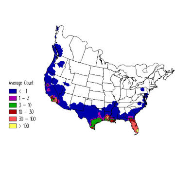 Cattle Egret winter distribution map