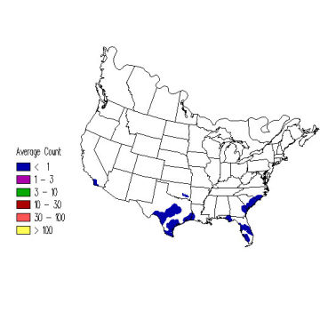 Least Tern winter distribution map