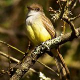 January 7, 2012 in Golden Gate Park, San Francisco, CA, US