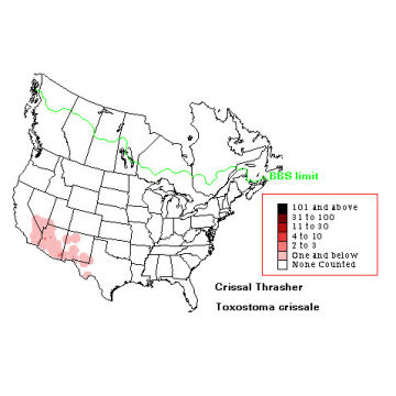 Crissal Thrasher distribution map