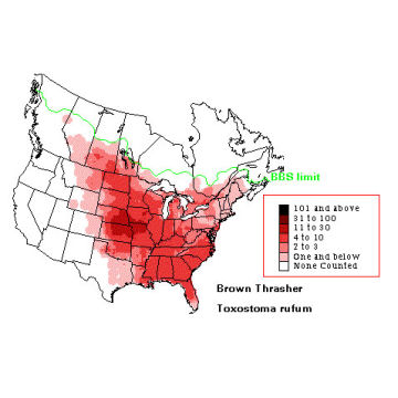 Brown Thrasher distribution map