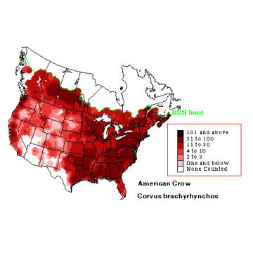 American Crow distribution map