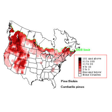 Pine Siskin distribution map