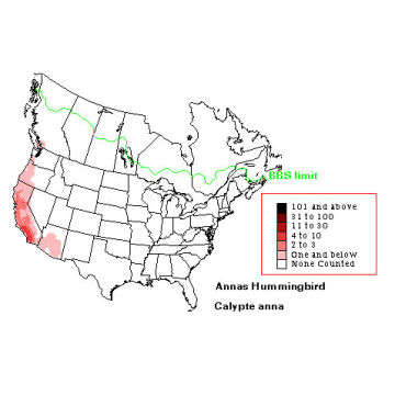 Anna's Hummingbird distribution map