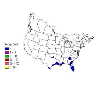 Bay-breasted Warbler winter distribution map