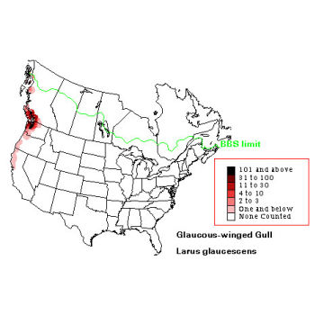 Glaucous-winged Gull distribution map