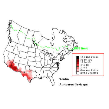 Verdin distribution map